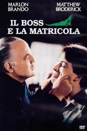 Il boss e la matricola - The Freshman (1990)