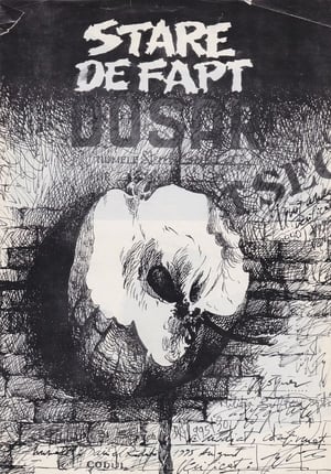 State of Things (1995)