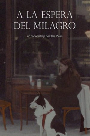 A la espera del milagro (2021)