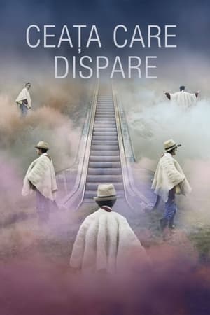 Ceața care dispare - A Vanishing Fog (2021)
