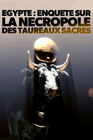 Égypte - Enquête sur la nécropole des taureaux sacrés - Ägypten - Das Grab der heiligen Stiere (2023)