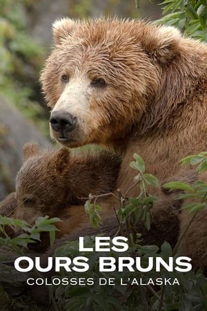 Les Ours bruns, colosses de l’Alaska - Alaska's Giant Bears (2023)