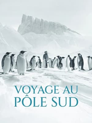 Voyage au pôle sud - Continent magnétique (2023)