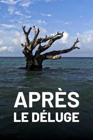Après le déluge (2023)