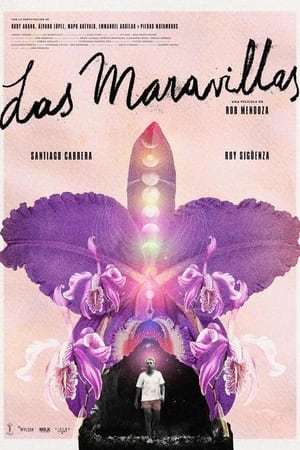 Back to Las Maravillas (2023)