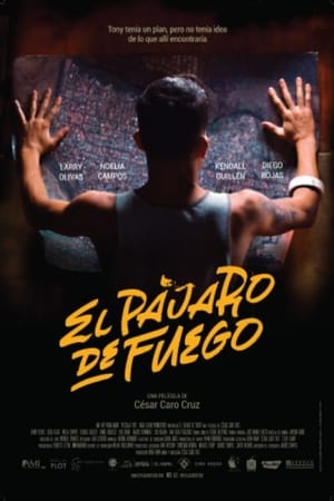 Bird of Fire (2021)