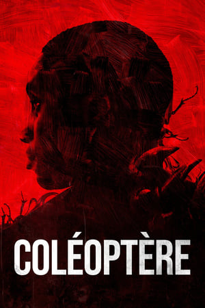 Coleoptere (2023)
