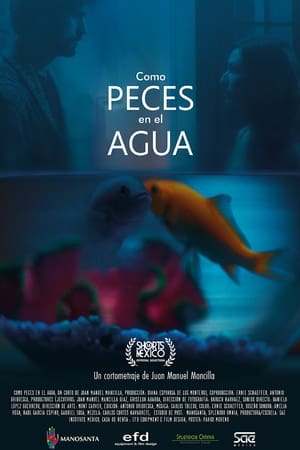 Como Peces en el Agua (2021)
