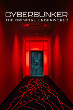 Cyberbunker : Les dessous de l'internet clandestin - Cyberbunker: The Criminal Underworld (2023)