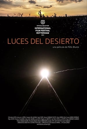 Desert Lights (2021)