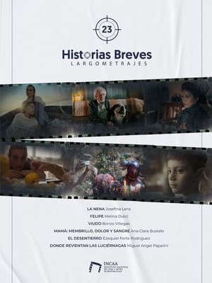 Historias Breves 23 (2024)