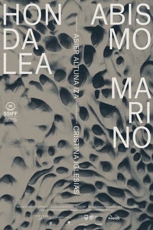 Hondalea: Marine Abyss (2021)