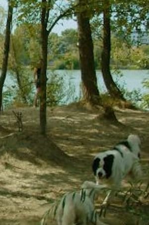 Hundestrand Nord (2023)
