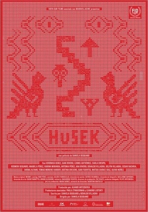 Husek (2021)