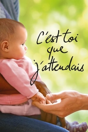 C'est toi que j'attendais (2021)