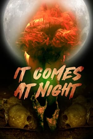 In the Light of the Night (2022)