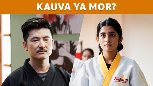 movies/ba3f7cc721a162a2149136afe95cd8fe/karate-girls-7094128574612739