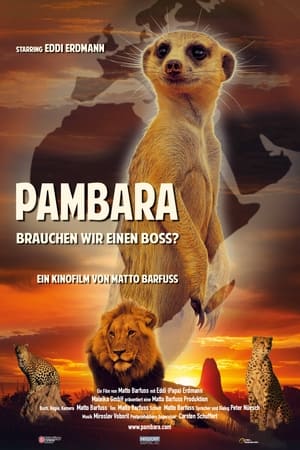 Pambara - Brauchen wir einen Boss? (2023)