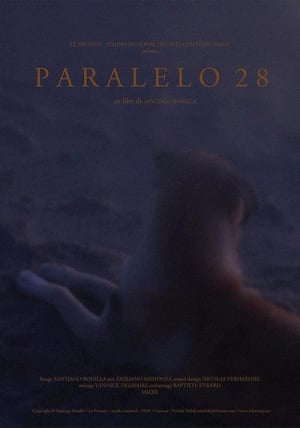 Paralelo 28 (2020)