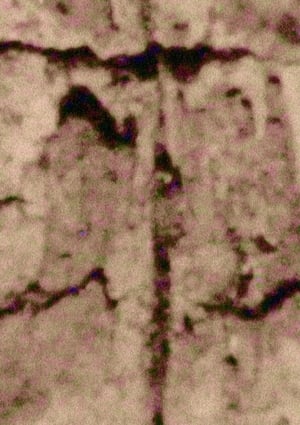 Ruido; Rauca (2020)