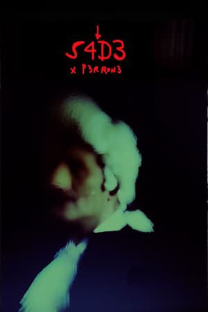 S4D3 (2021)