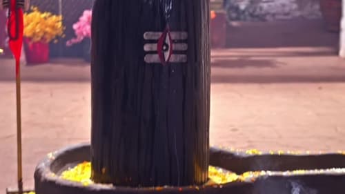 movies/ba3f7cc721a162a2149136afe95cd8fe/shiv-shakti-tap-tyaag-tandav-8152536256024705