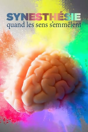 Sinestesia: vivir con los sentidos entrelazados - Synästhesie - Leben mit verknüpften Sinnen (2023)