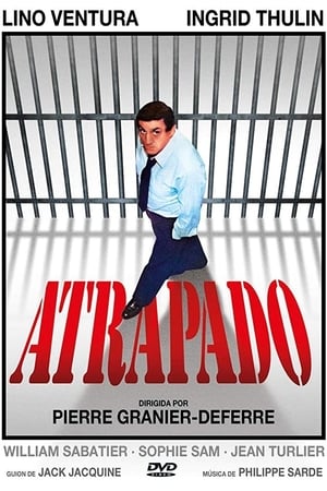 Atrapado - The Cage (1975)