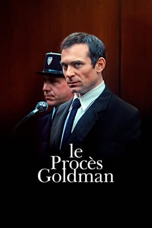 Le procès Goldman (2023)