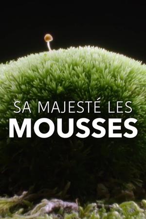 Sa Majesté les mousses (2023)