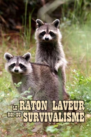 Le raton laveur, roi du survivalisme (2021)