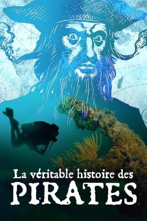 La véritable histoire des pirates (2023)