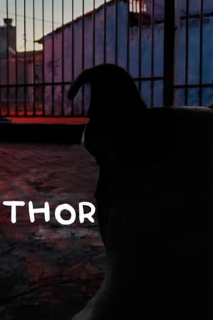 Thor (2024)