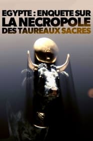 Égypte - Enquête sur la nécropole des taureaux sacrés - Ägypten - Das Grab der heiligen Stiere (2023)