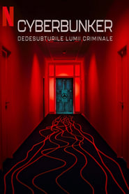 Cyberbunker: Dedesubturile lumii criminale - Cyberbunker: The Criminal Underworld (2023)