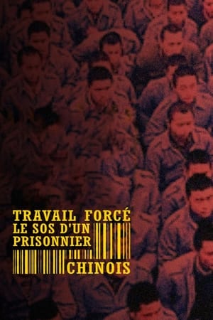 Travail forcé, le SOS d'un prisonnier chinois (2023)