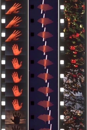 Twelve Seasonal Films (2020)