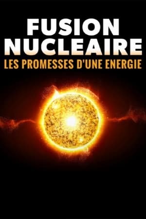 Fusion nucléaire, les promesses d’une énergie (2023)