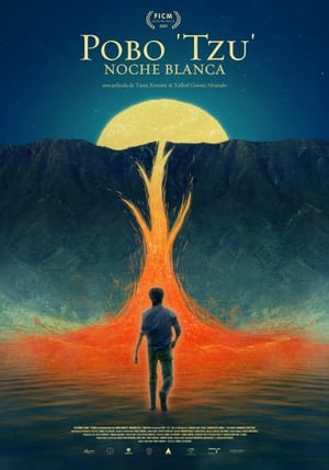 White Night (2021)