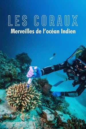 Fascinants coraux : merveilles de l'océan Indien - Zauber der Korallenriffe: Der Indische Ozean (2023)